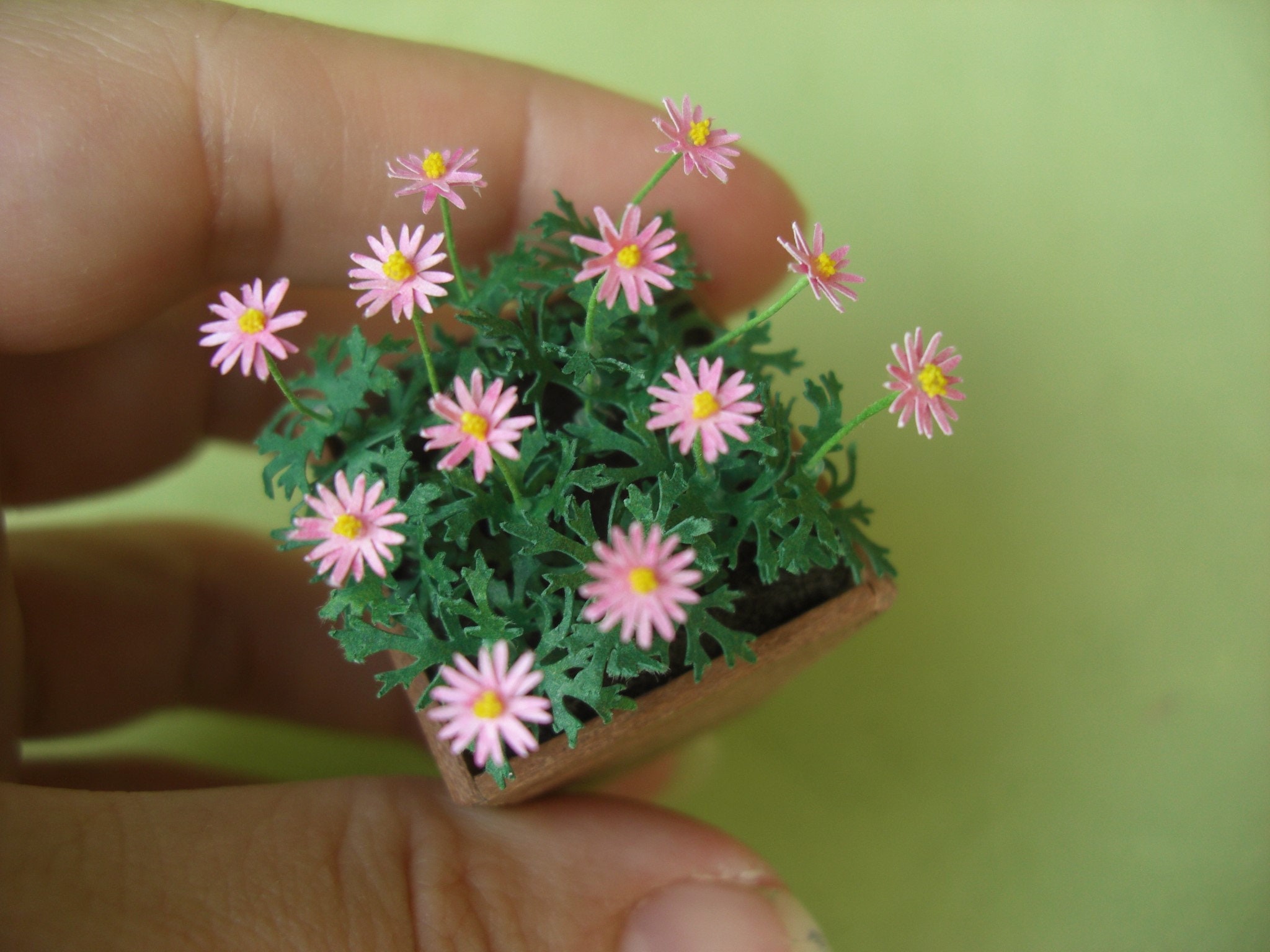 1;12 Scala Realizzata A Mano Pianta Casa Delle Bambole Giardino In Miniatura - Italia - Foto 6