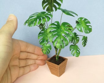 Miniature Monstera Palm Tree with planter 1:12 dollshouse fairy cat garden