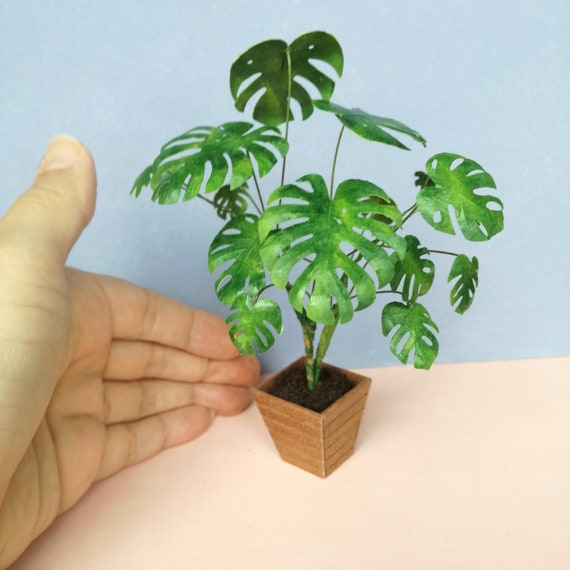 Miniature hand made Philodendron split leaf Palm Tree 1:12 dolls house garden