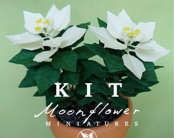 Miniature KIT White Poinsettia flower plant Christmas garden flower, scale 1:12, DIY