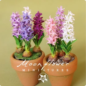 Miniature Hyacinth flower in the terracotta pot 1:12 dollshouse fairy cat garden 1 inch scale 画像 1
