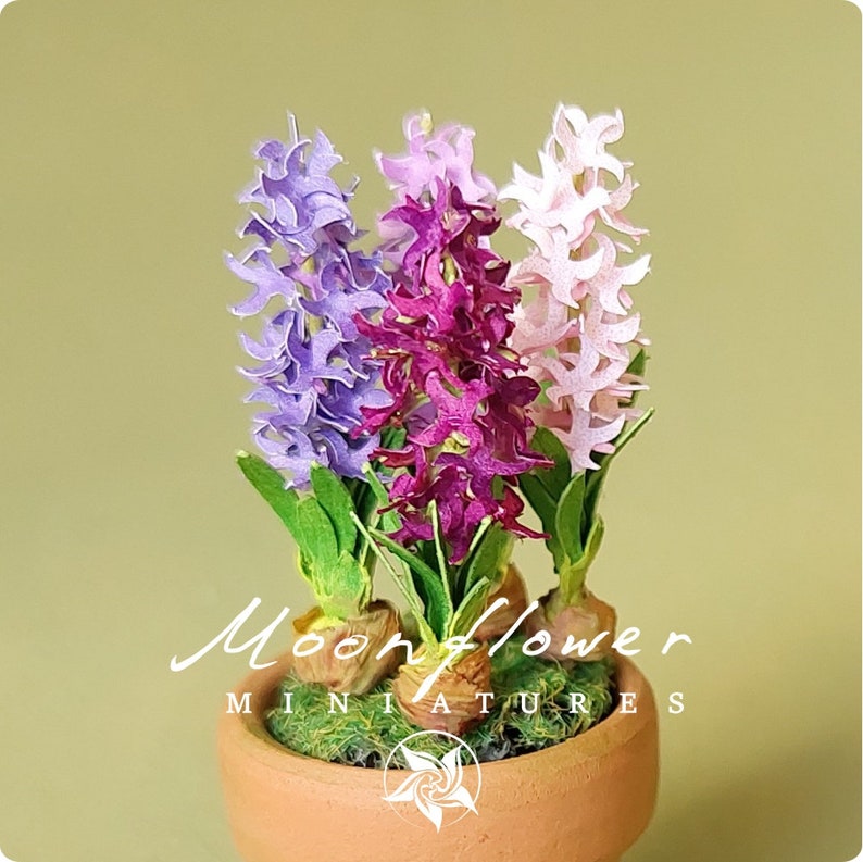 Fleur de jacinthe miniature dans un pot en terre cuite maison de poupée féerique jardin de chats de maison de poupée à l'échelle 1 po. VARIANT C: 4 FLOWERS