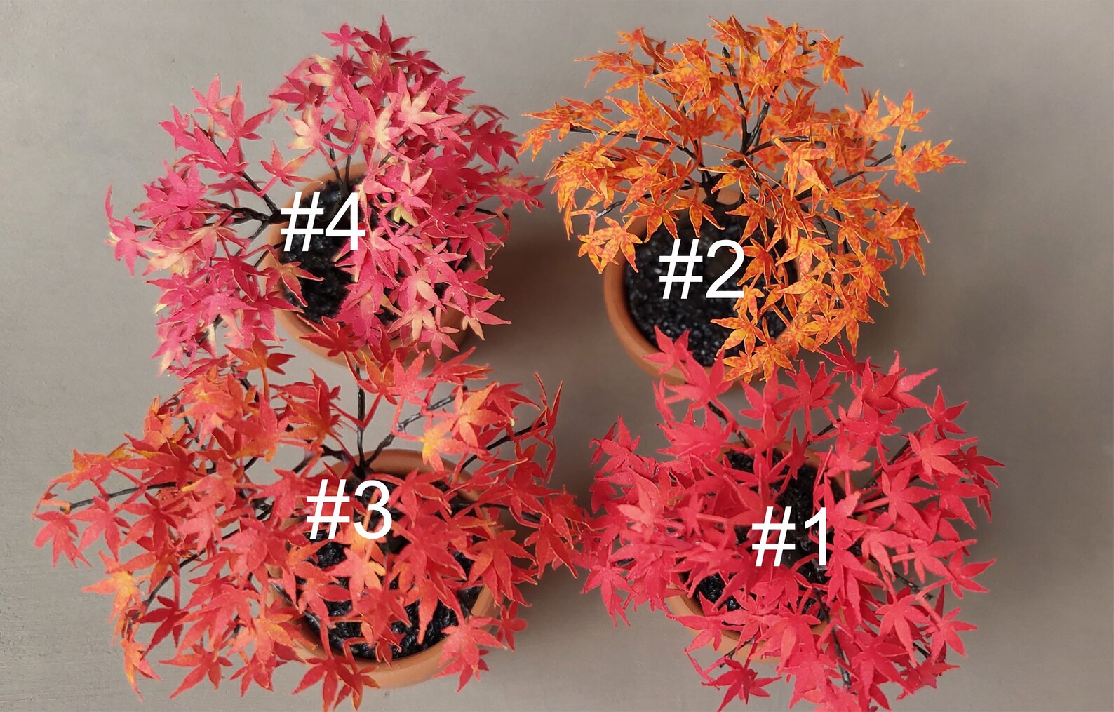KIT Miniature #3 Maple Tree Bonsai Color Garden Dollhouse Flower Kit ...