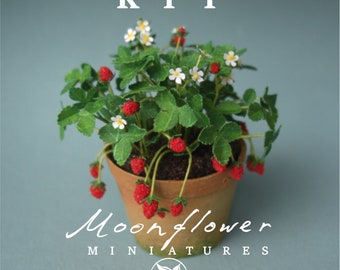 KIT Miniatuur Aardbeienplantentuin poppenhuis bloemenpakket, schaal 1:12, DIY