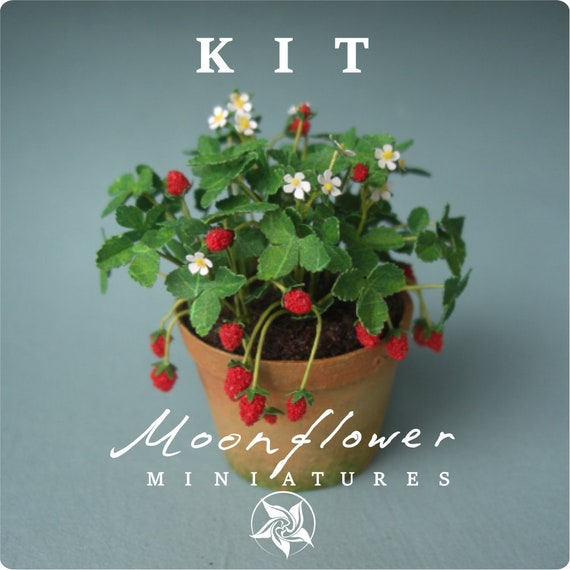 1:12 Casa Delle Bambole In Miniatura Fiori Mini Pianta In Vaso Fiori Vaso~p117994866