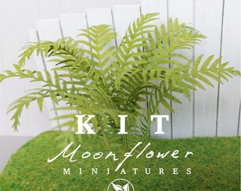 Miniature Kit 1:12 Big Garden Fern golden green flower shop, DIY fairy dollshouse