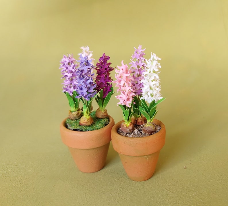 Miniature Hyacinth flower in the terracotta pot 1:12 dollshouse fairy cat garden 1 inch scale image 5