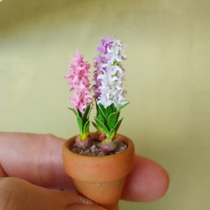 Miniature Hyacinth flower in the terracotta pot 1:12 dollshouse fairy cat garden 1 inch scale 画像 7