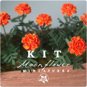 KIT Ringelblume FLAMMEN Miniatur Garten-Blumen-Set, Maßstab 1:12, DIY