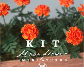 KIT Marigold FLAME Miniature garden dollhouse flower kit, scale 1:12, DIY