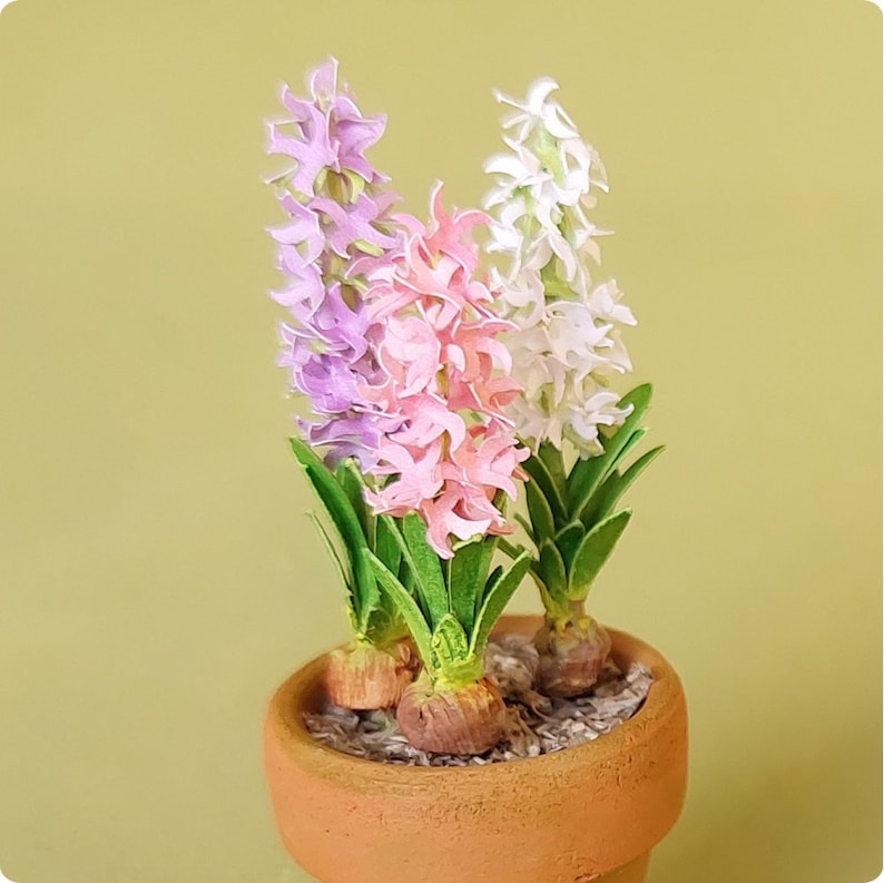 Miniature Hyacinth flower in the terracotta pot 1:12 dollshouse fairy cat garden 1 inch scale VARIANT A: 3 FLOWERS