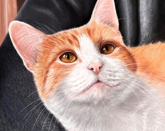 Custom Pastel Cat Portrait from Photo: Personalized Pet Art Commission