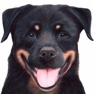 Custom Rottweiler Portrait: Hand-Drawn Colored Pencil Dog Art