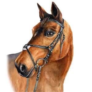 Aquarelle de cheval à partir d&#39;une photo de portrait d&#39;animal de compagnie personnalisé, cadeau équestre pour amateur de chevaux