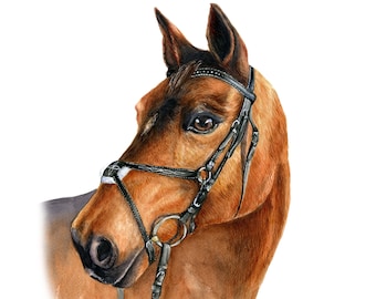 Custom Horse Watercolor Portrait Painting: Equestrian Art Gift