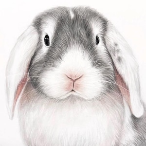 Rabbit bunny painting portrait from photo