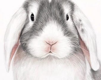 Retrato de conejo pintado a partir de una foto