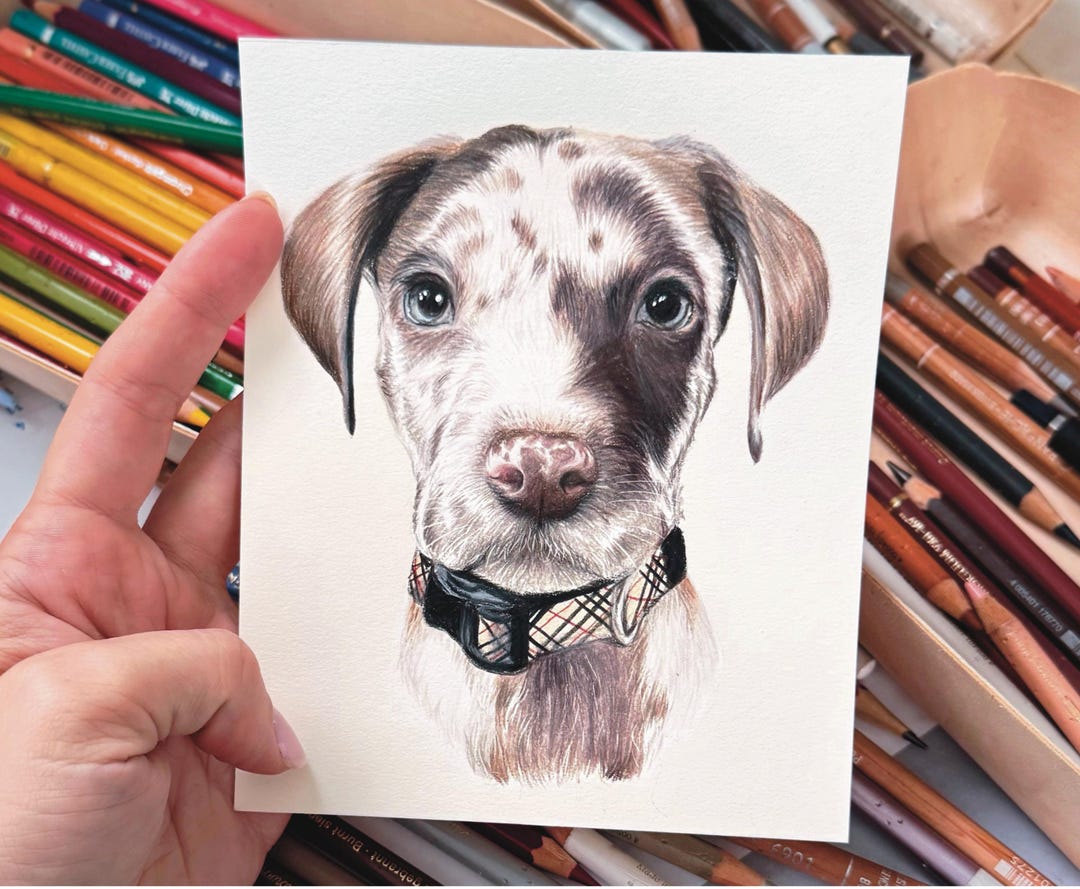 Custom Pet Portrait / Colored Pencils Hand Drawn Pet Portrait / Pet ...