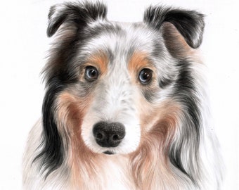 Pet portrait from photo / Pet parent gift / Pet sympathy gift drawing from photo / Custom dog portrait / Custom drawing / Photo to art