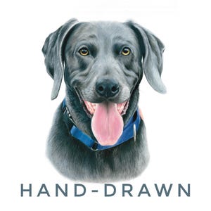Ritratto personalizzato di un animale domestico disegnato a mano – Disegno personalizzato di un cane o di un gatto, regalo commemorativo e arte ricordo