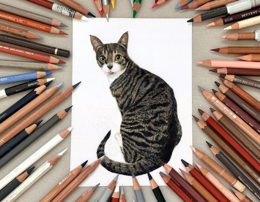 Hand Drawn Custom Cat Portrait Gift for Cat Owners - Etsy