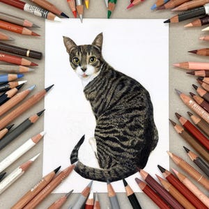 Hand Drawn Custom Cat Portrait Gift for Cat Owners - Etsy