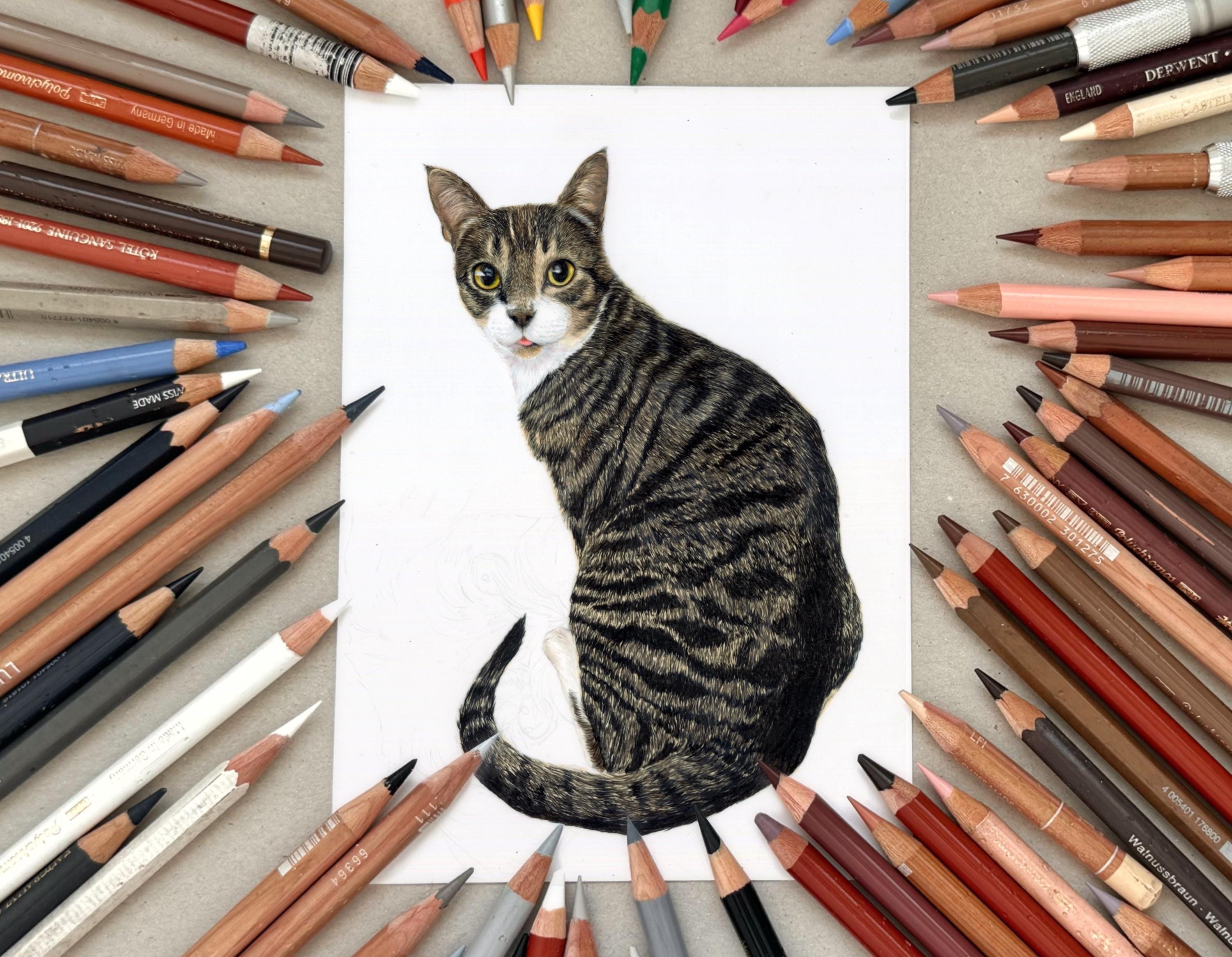 イラスト作成4 猫好きの方へのプレゼントとして、手描きのカスタム猫肖像画を贈りませ