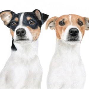 Custom two dog portrait, Pet memorial gift hand drawn by pet portrait artist using your photo, hyper realistic colour pencils drawing art