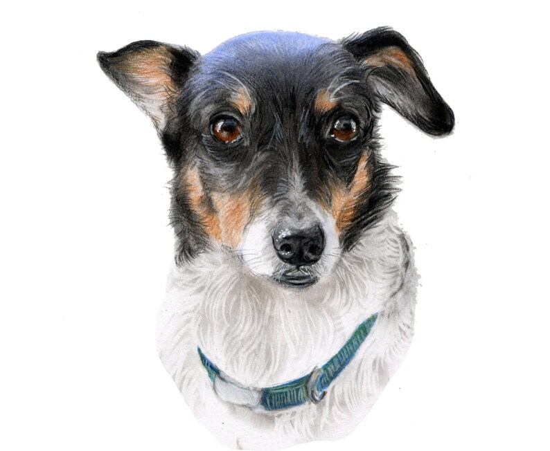 Pet portrait from photo Pet parent gift Pet sympathy gift drawing from photo Custom dog portrait Custom drawing Photo to art