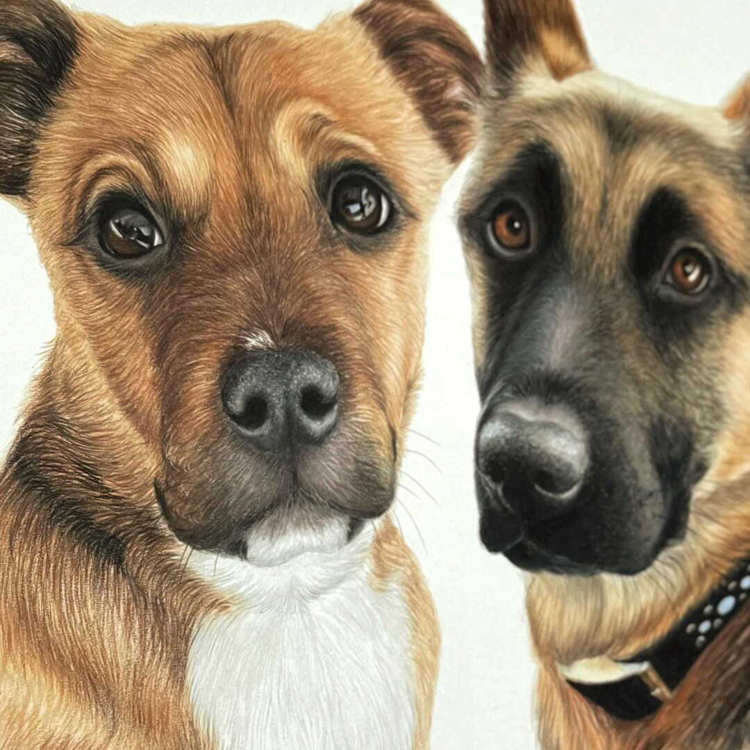 Two Dogs Portrait Hand-drawn Pet Portrait: Two Dogs Portrait Dog Memorial Gift - Etsy