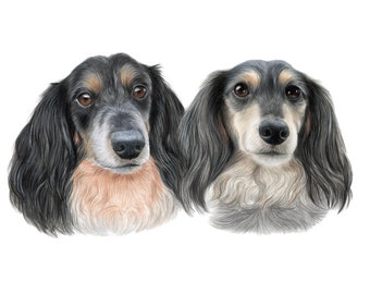 Hand drawn Dog portrait commission, Dog sympathy gift