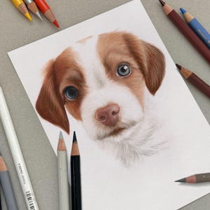 Custom Hand drawn pet portrait Dog themed gifts Colored pencil custom dog portrait