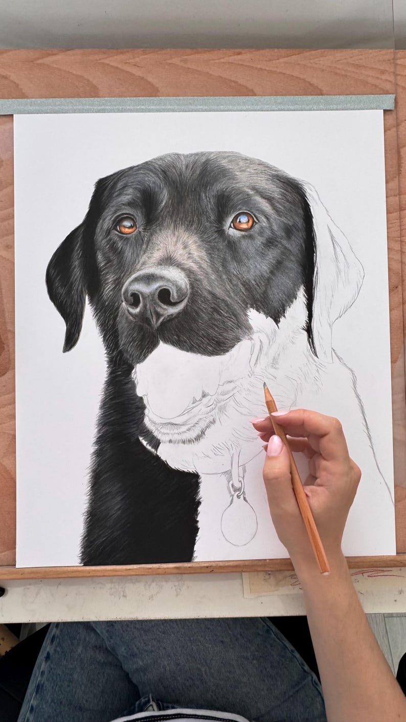 May include: A detailed pencil drawing of a black and white dog with brown eyes. The artwork is in progress, with the artist's hand holding a pencil, adding shading to the dog's fur. The dog wears a collar with a tag.
