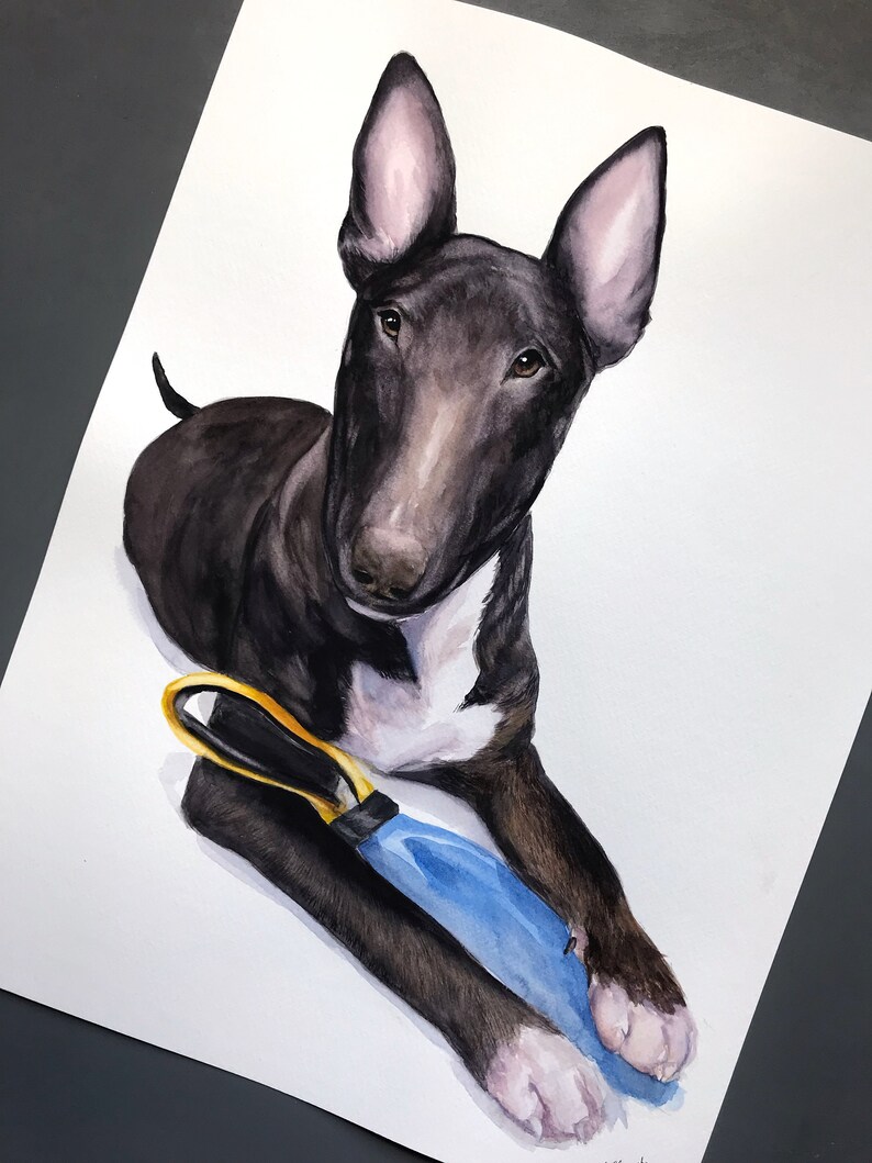 Bull terrier Custom painted pet portrait dog dad gift water color painting