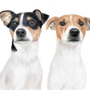 Custom Two Dog Portrait: Hand-Drawn Color Pencil Pet Memorial Art
