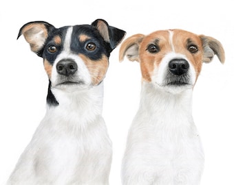Custom Two Dog Portrait: Hand-Drawn Color Pencil Pet Memorial Art