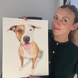 May include: A detailed color pencil drawing of a brown and white dog with a pink tongue. The dog is sitting and looking directly at the viewer. The artwork is on white paper.