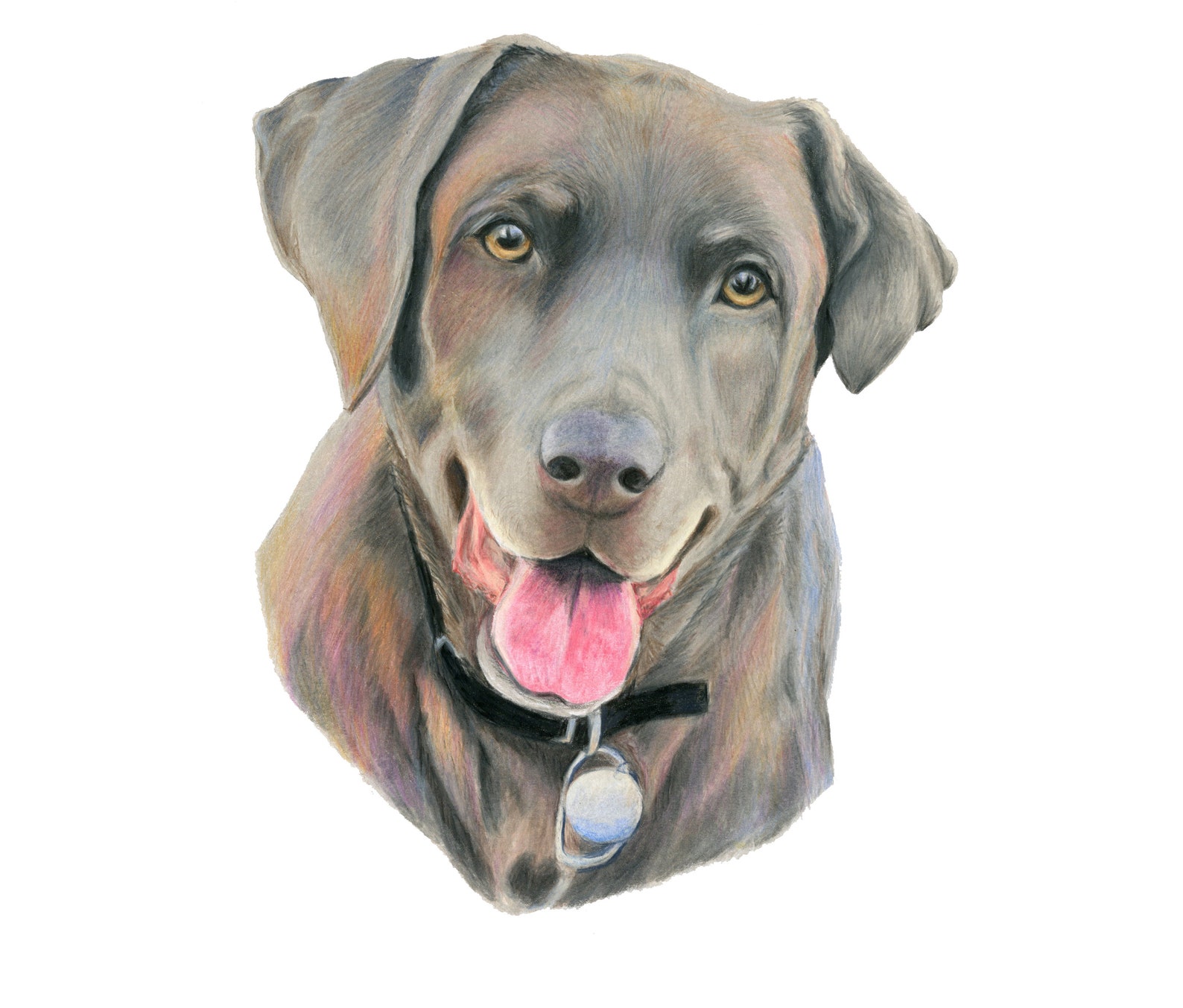 Labrador retrievers pet portrait drawing custom color pencils Etsy