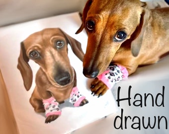 Custom pet portrait / Colored pencils hand drawn pet portrait / pet parent gift /pet lover gift / pet sympathy gift