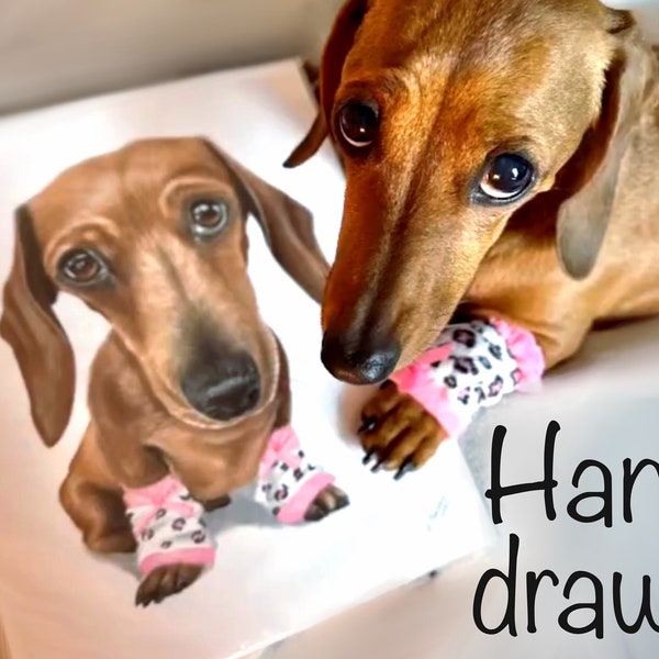 Custom pet portrait / Colored pencils hand drawn pet portrait / pet parent gift /pet lover gift / pet sympathy gift