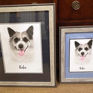 May include: Two framed portraits of a dog with a gray and white coat, black ears, and a pink tongue. The dog's name, "Koda," is written below the image in cursive. The frames are gray with a black or blue matting.