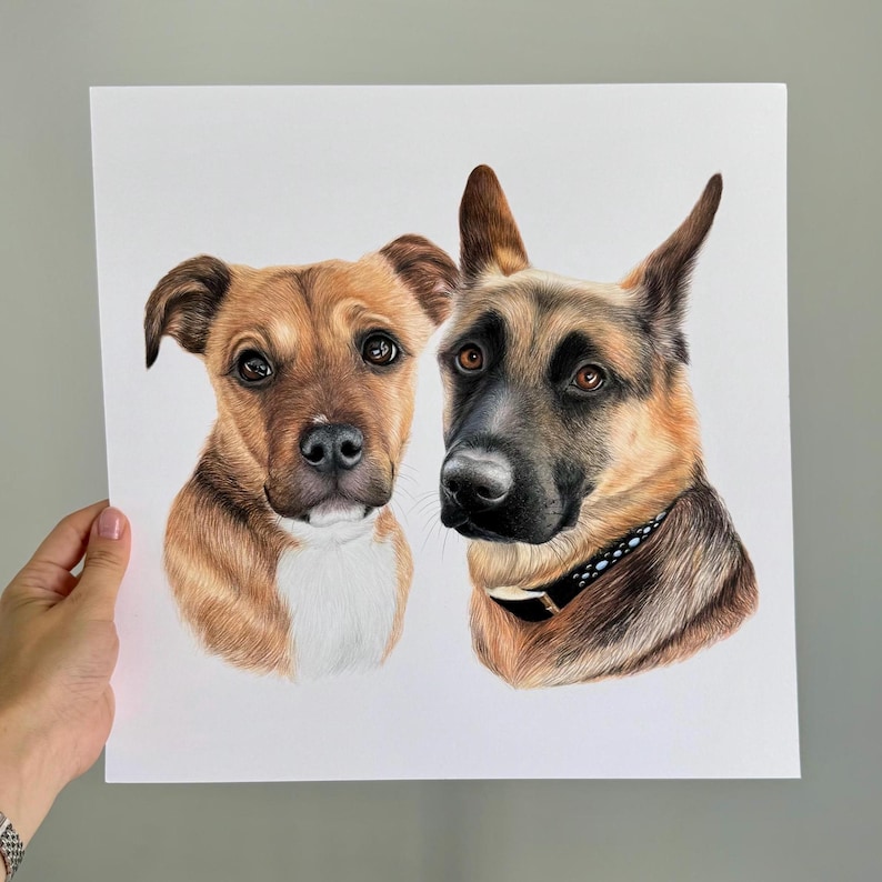 two dogs portrait drawing pet portrait art