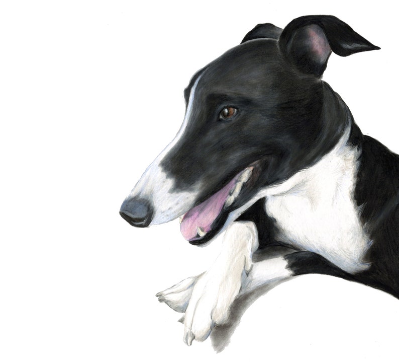 Pet portrait from photo Pet parent gift Pet sympathy gift drawing from photo Custom dog portrait Custom drawing Photo to art
