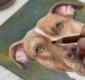 Custom pet portrait / Colored pencils hand drawn pet portrait / pet parent gift /pet lover gift / pet sympathy gift product logo