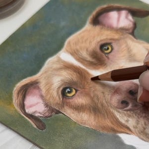 Custom pet portrait / Colored pencils hand drawn pet portrait / pet parent gift /pet lover gift / pet sympathy gift