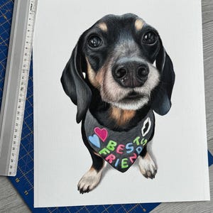 May include: A detailed watercolor painting of a Dachshund dog with a black and tan coat, wearing a bandana that says "BEST FRIEND" in colorful letters. The dog is centered on a white background, with a blue cutting mat and ruler in the background.