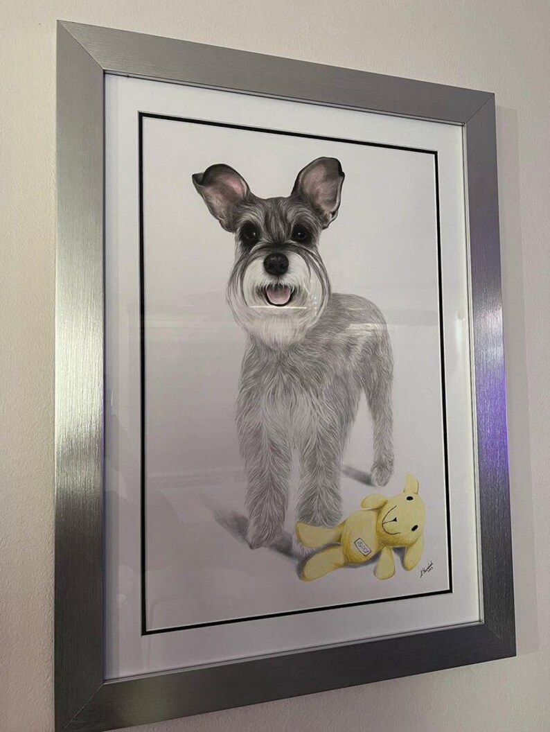 May include: A framed pencil drawing of a Schnauzer dog with gray fur, black ears, and a white beard. The dog is standing next to a yellow stuffed animal. The artwork is in a silver frame.