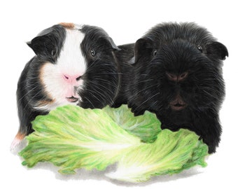Guinea pig drawing from photo, Guinea pig gifts