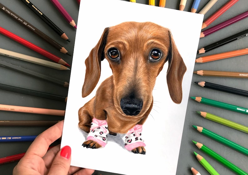 Memorable custom dog portrait, colored pencil artwork for home or office décor.