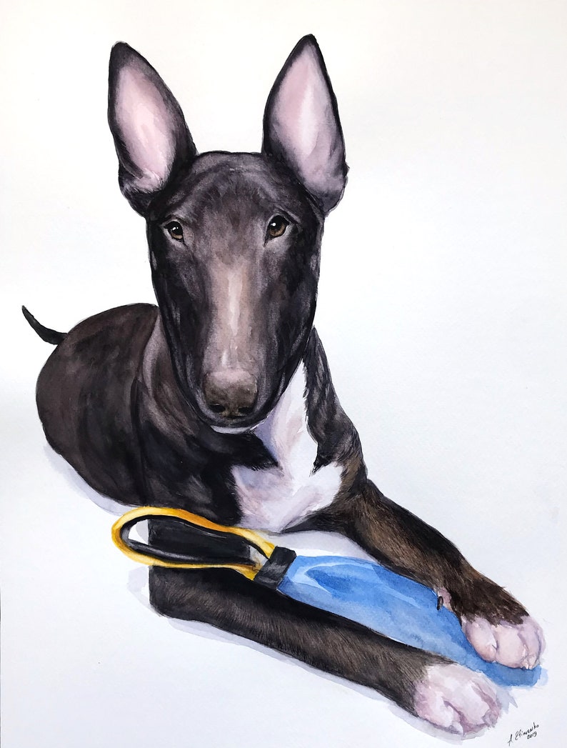 Bull terrier Custom painted pet portrait dog dad gift water color painting